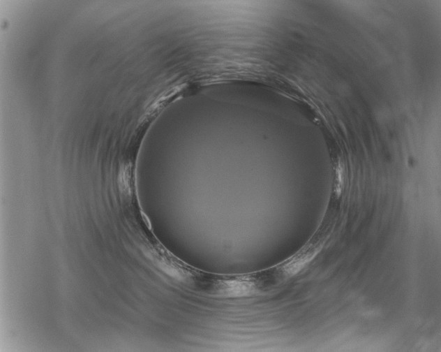 X0000068840286200605051309