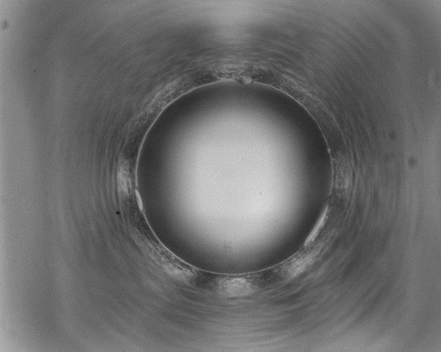 X0000068840287200605051309