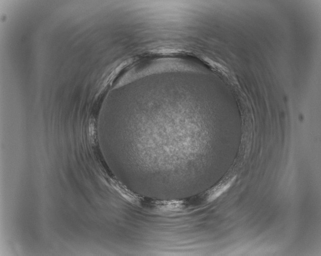 X0000068840288200605051309