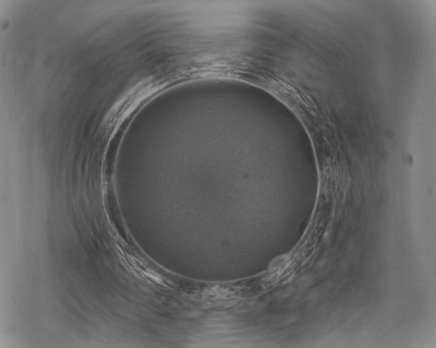 X0000068840290200605051309