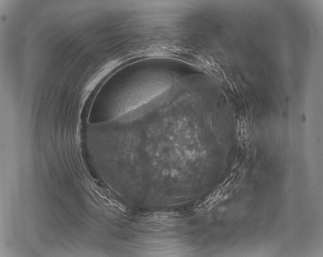 X0000068840292200605051309