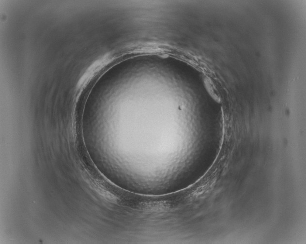 X0000068840296200605051309