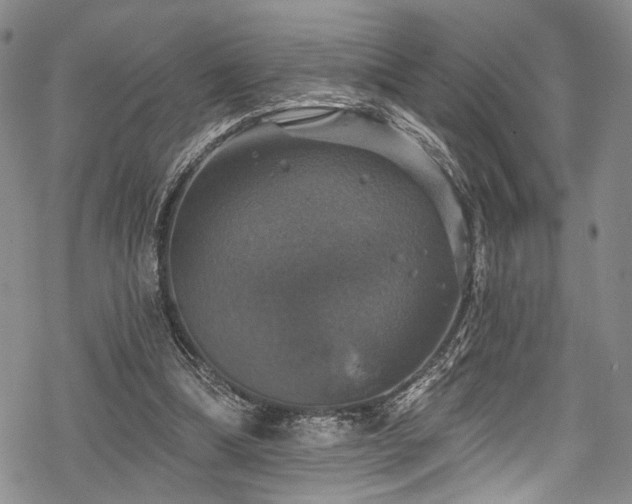 X0000068840298200605051309