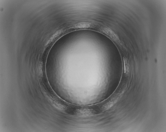 X0000068840300200605051308