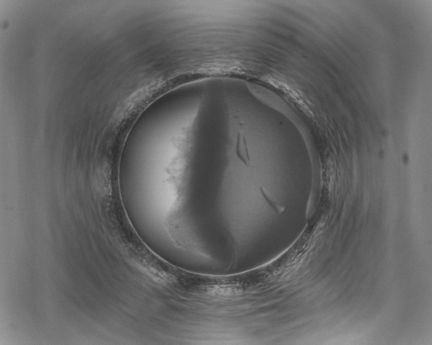 X0000068840303200605051308