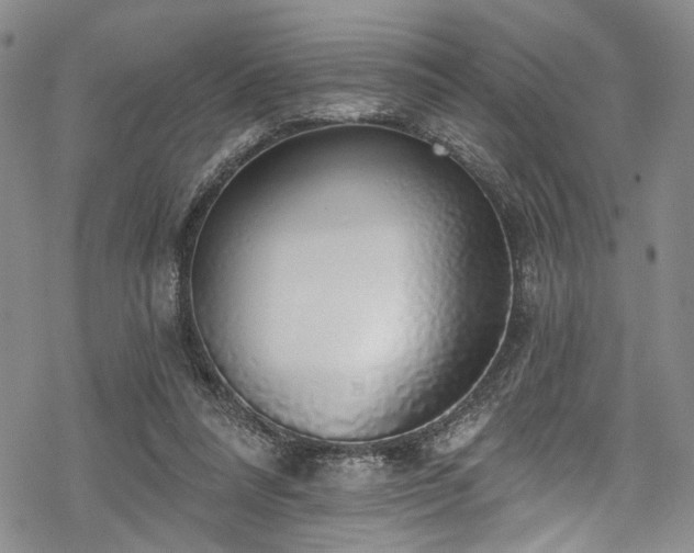 X0000068840304200605051308