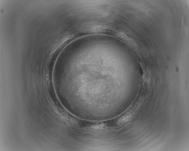 X0000068840306200605051308