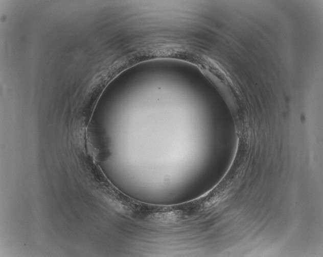 X0000068840307200605051308