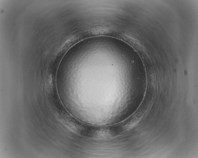 X0000068840308200605051308