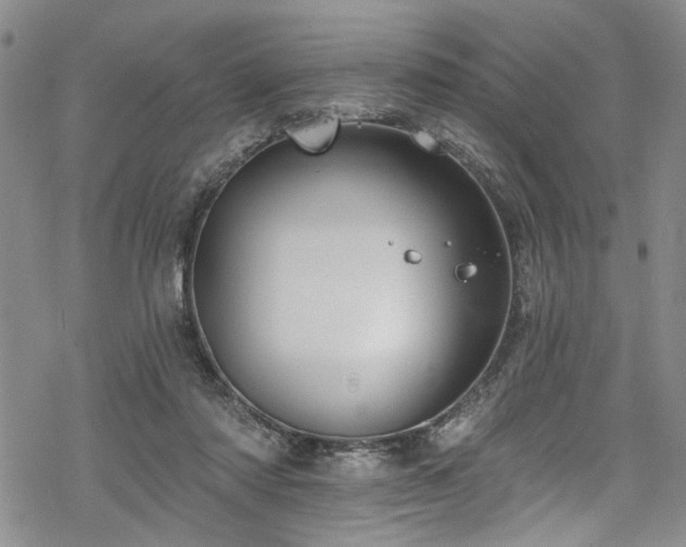 X0000068840310200605051308