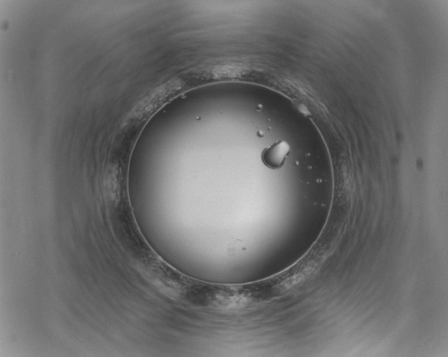 X0000068840311200605051308