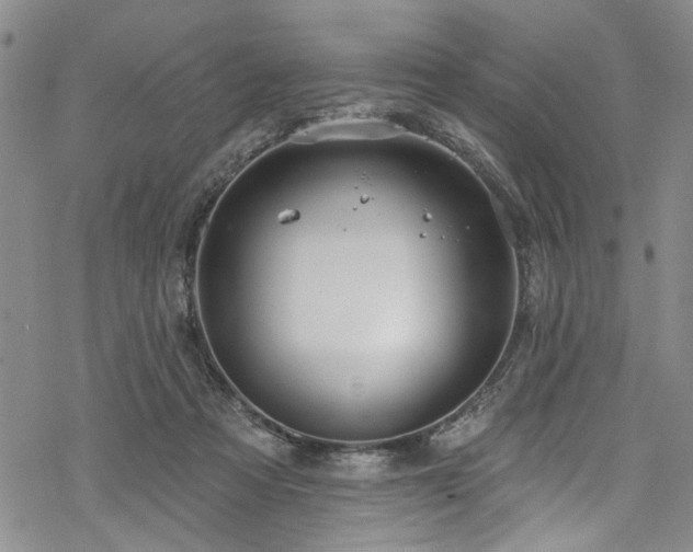 X0000068840313200605051308