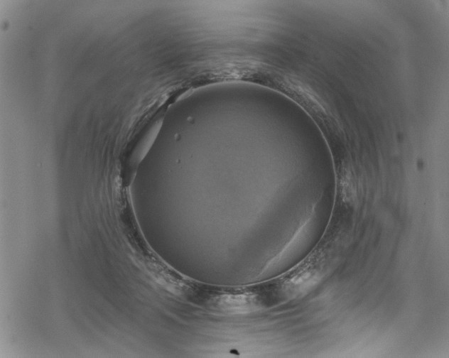 X0000068840314200605051308