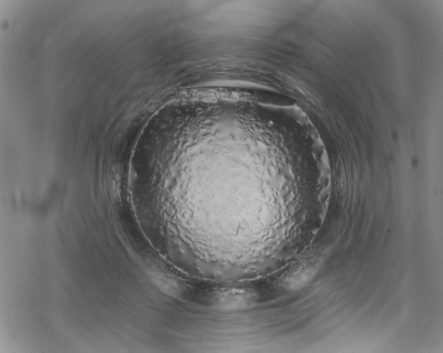 X0000068840315200605051308