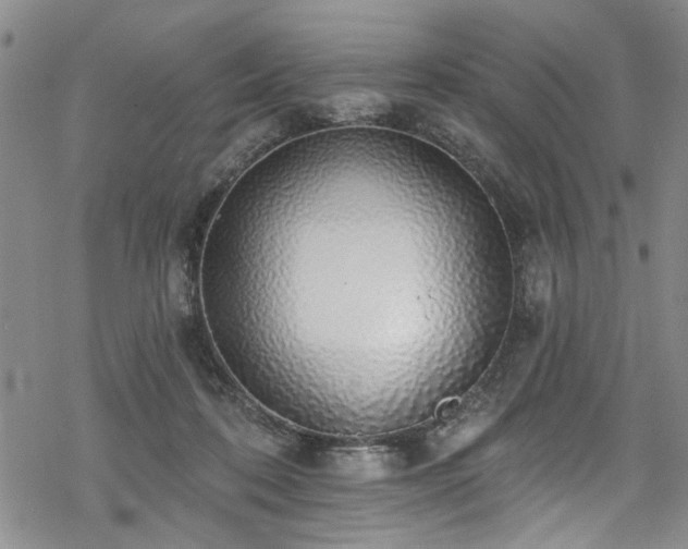 X0000068840316200605051308