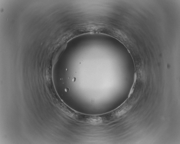 X0000068840317200605051308