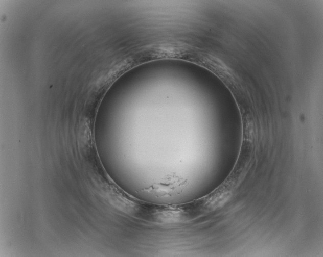 X0000068840318200605051308