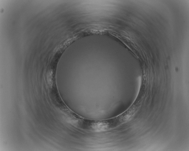 X0000068840319200605051308