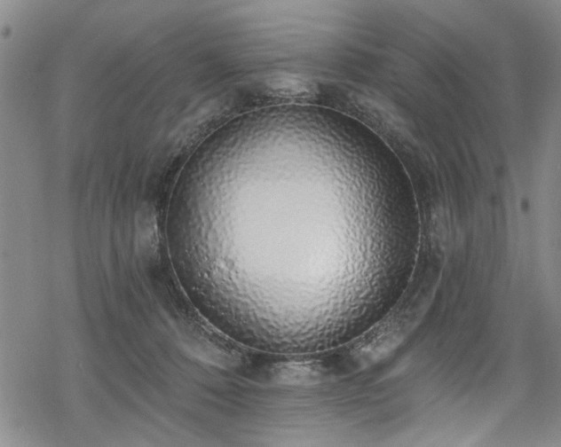 X0000068840320200605051308