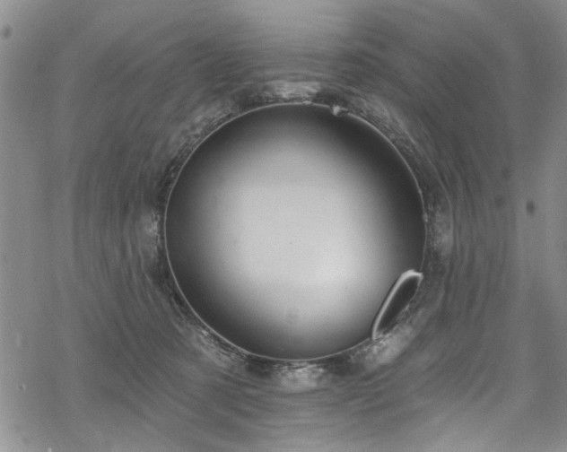 X0000068840321200605051308