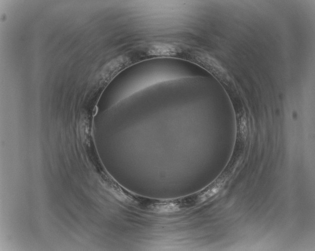 X0000068840322200605051308