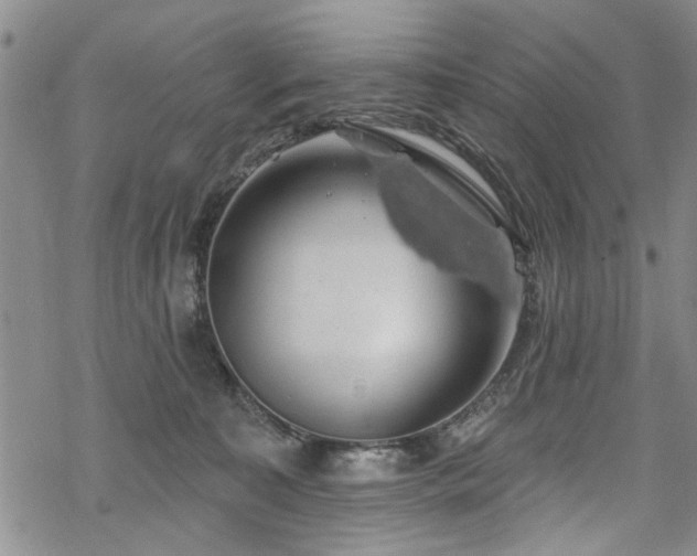 X0000068840323200605051308