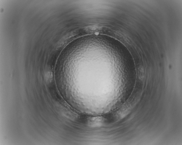 X0000068840324200605051308