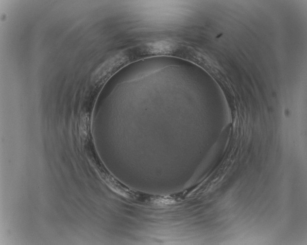 X0000068840325200605051308