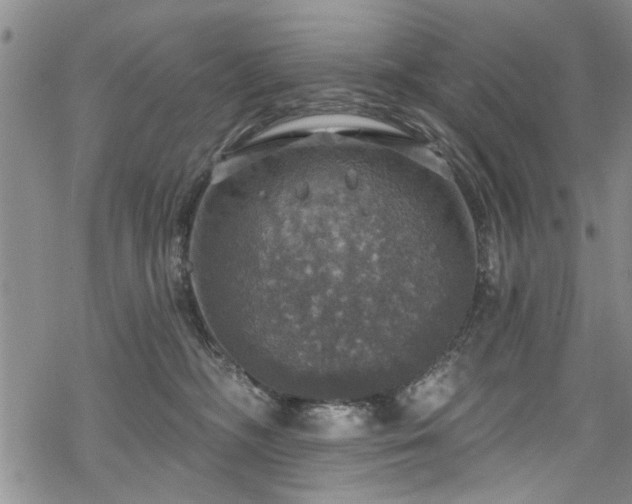 X0000068840326200605051308