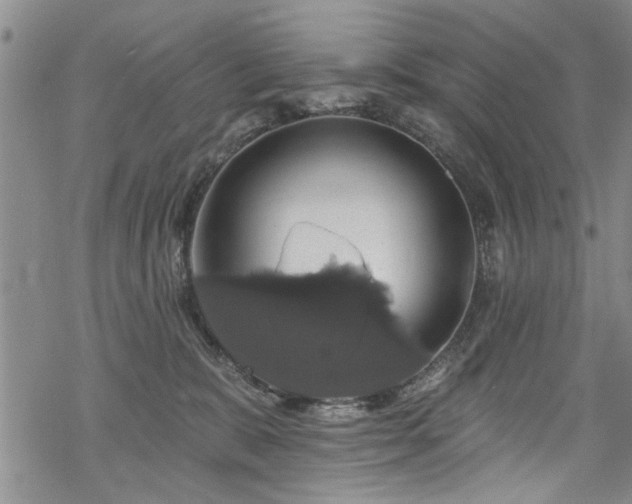 X0000068840327200605051308