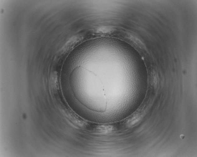 X0000068840328200605051308