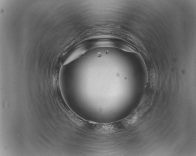 X0000068840329200605051308