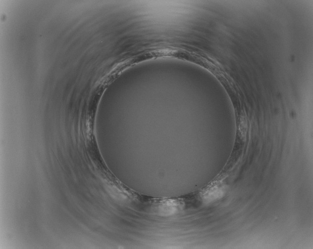 X0000068840330200605051308