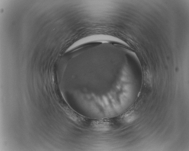 X0000068840331200605051308