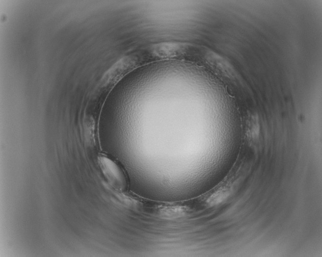 X0000068840332200605051308