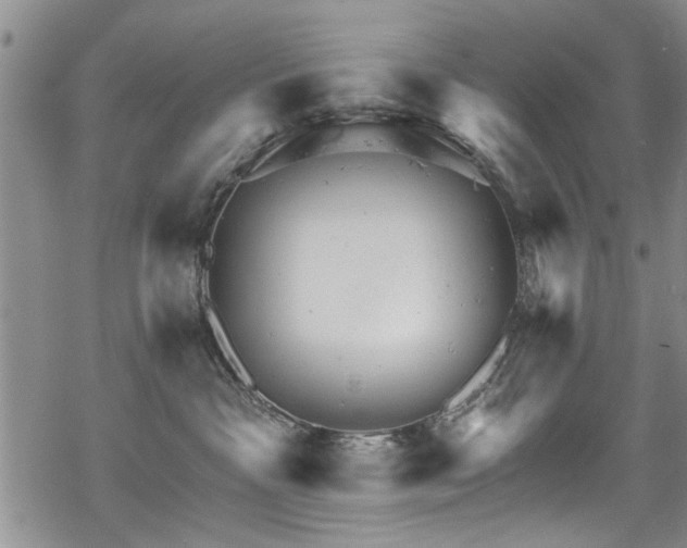 X0000068840333200605051308