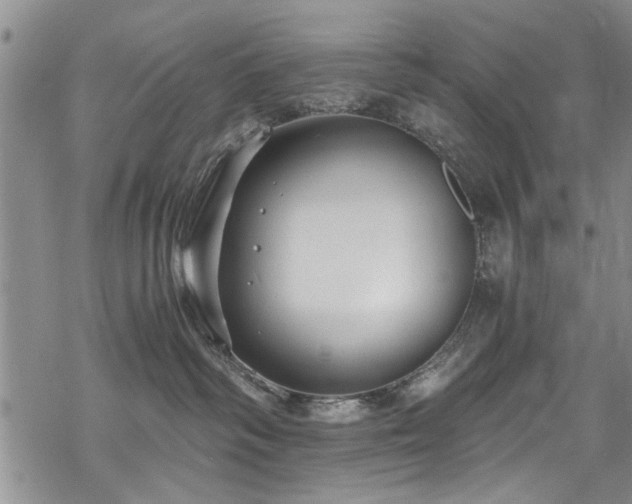 X0000068840334200605051308