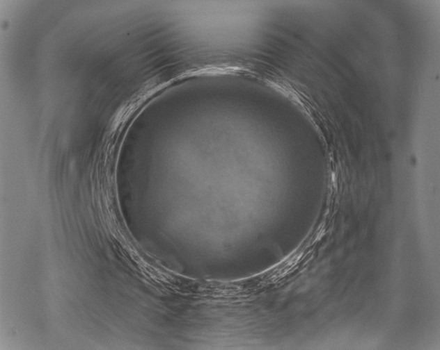 X0000068840337200605051307