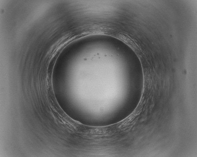 X0000068840338200605051307