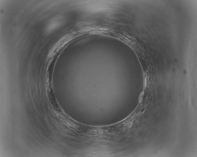 X0000068840339200605051307