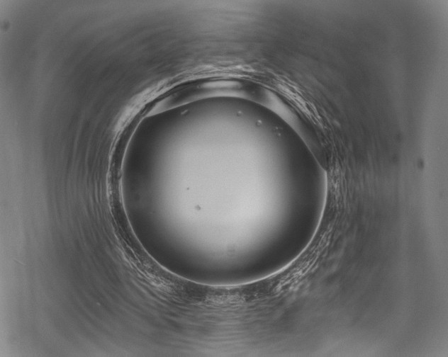 X0000068840340200605051307