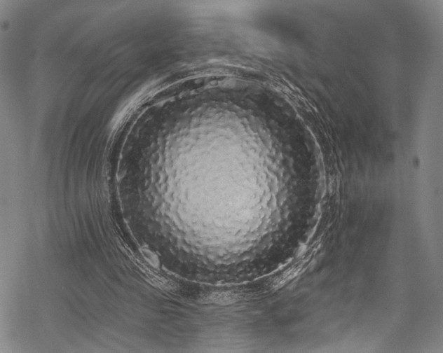 X0000068840341200605051307