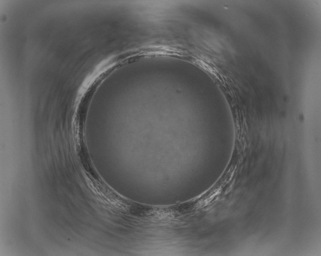 X0000068840343200605051307