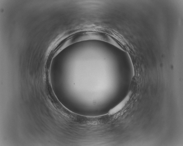 X0000068840344200605051307