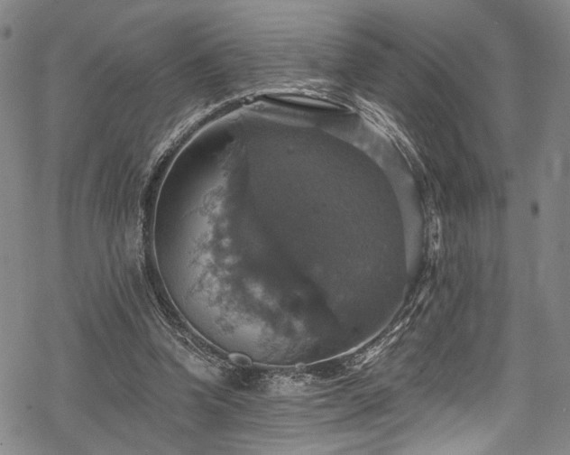 X0000068840346200605051307