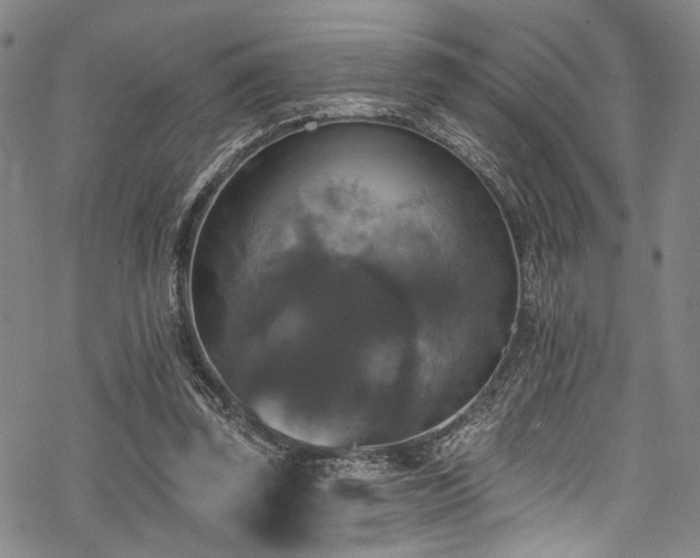 X0000068840347200605051307