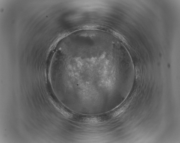 X0000068840349200605051307