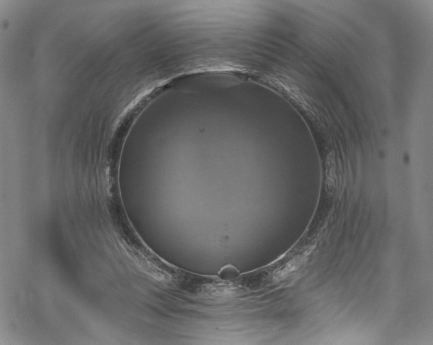 X0000068840351200605051307