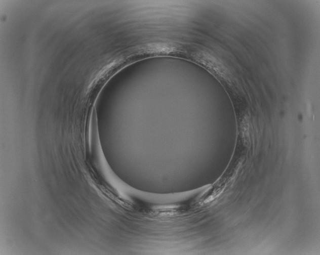 X0000068840352200605051307