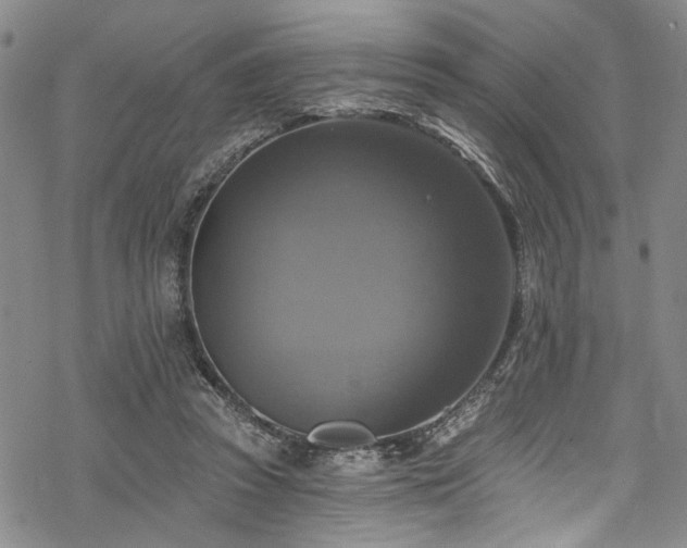 X0000068840353200605051307